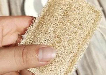 How to Clean a Bath Brush: Everything You Need to Know