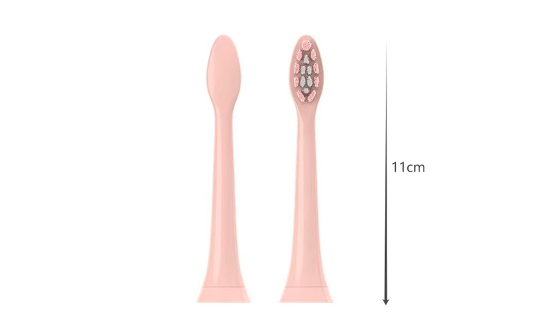 Specification of Toothbrush Replacement Head